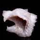 crystal wolf head