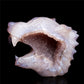 4.5" Druzy Agate Crystal Wolf Head Figurine Animal Carvings