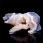 crystal bear figurine