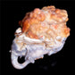 8" Flower Agate Crystal Elephant Mineral Lion Figurine Decor