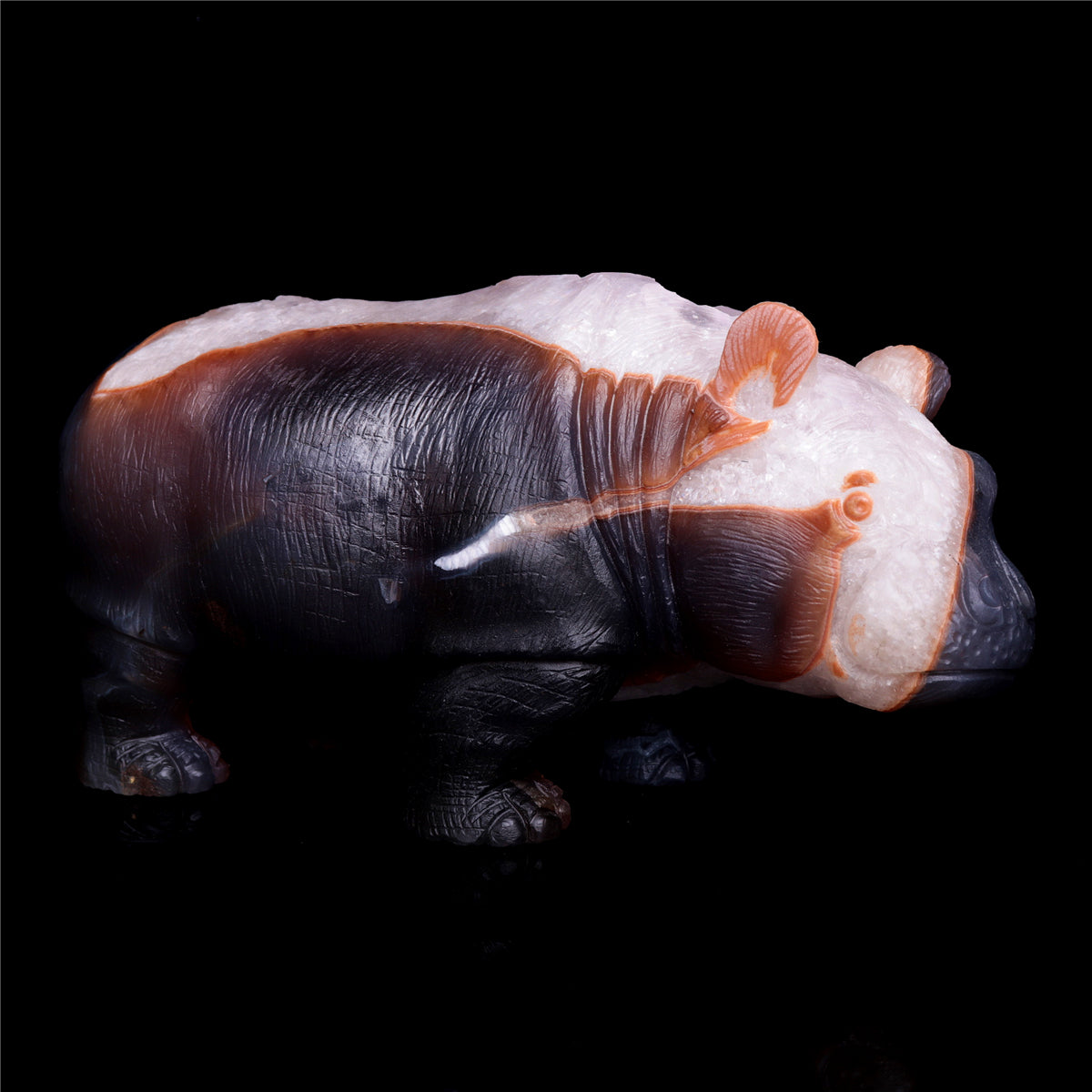 crystal hippo