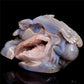 9" Druzy Agate Crystal Dragon Figurine Quartz Animal Carvings