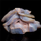 9" Druzy Agate Crystal Dragon Figurine Quartz Animal Carvings