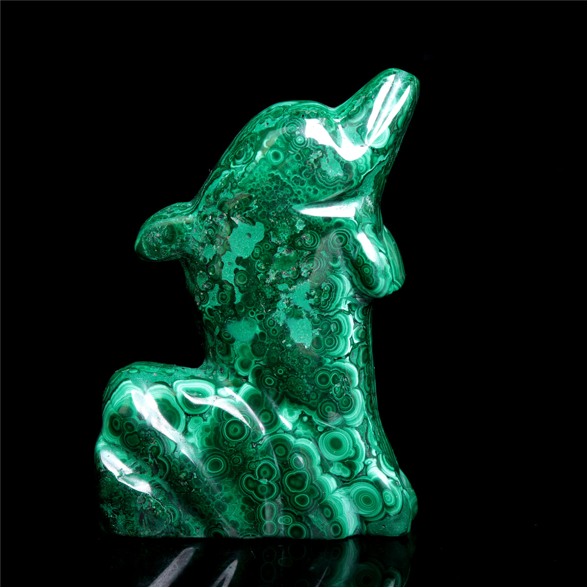 Malachite Dolphin