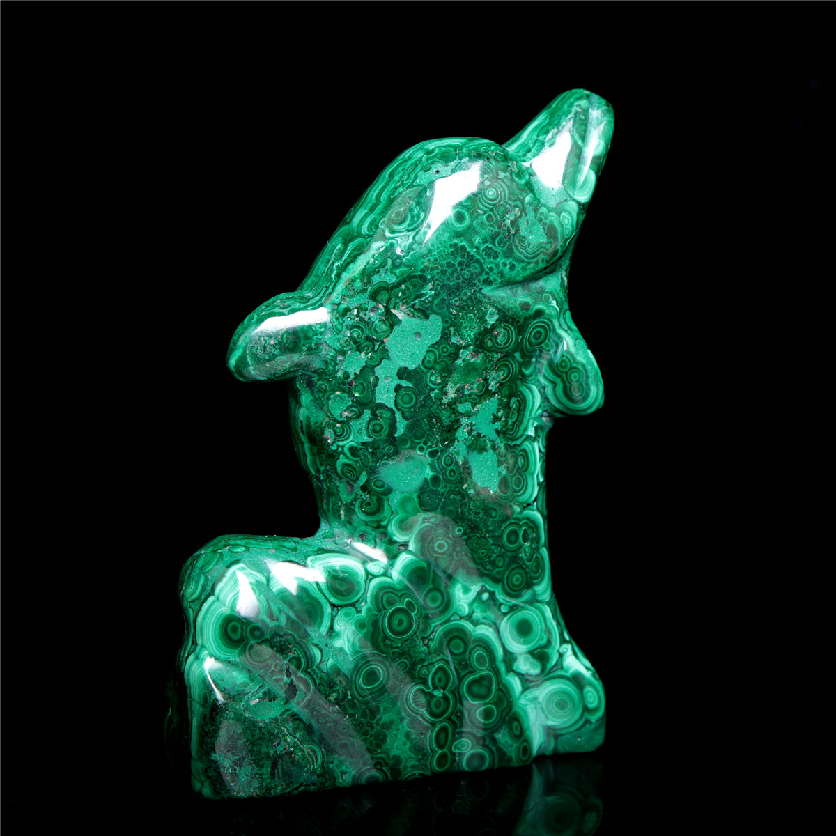 Crystal Dolphin