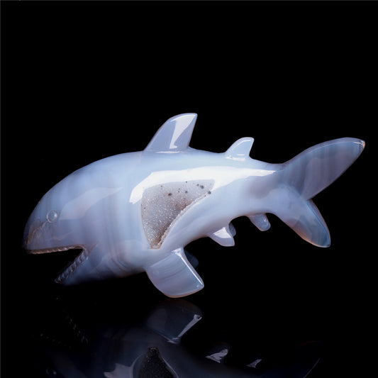 crystal shark