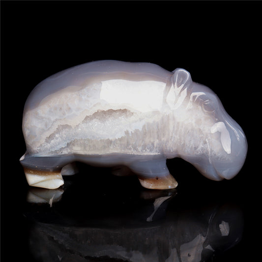 crystal hippo