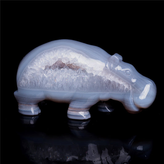 crystal hippo