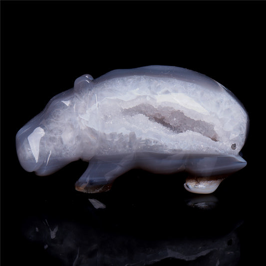 crystal hippo