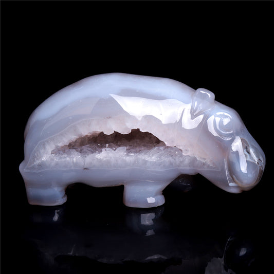 crystal hippo
