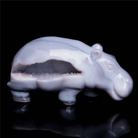 crystal hippo