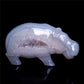 crystal hippo