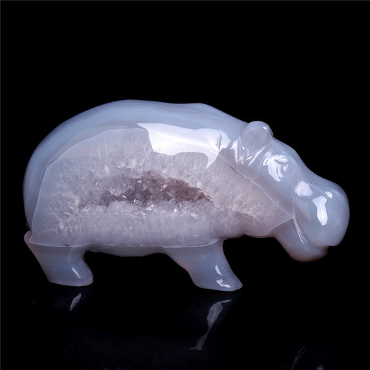 crystal hippo