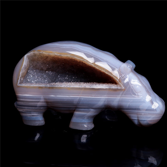 crystal hippo