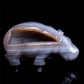 druzy agate hippo