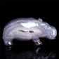 crystal hippo
