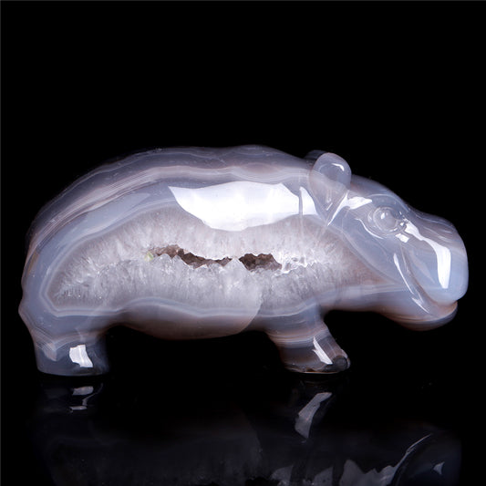 crystal hippo