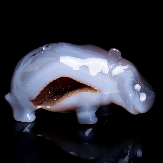 crystal hippo