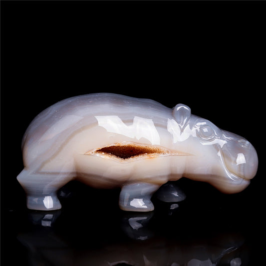 crystal hippo