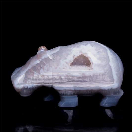 crystal hippo
