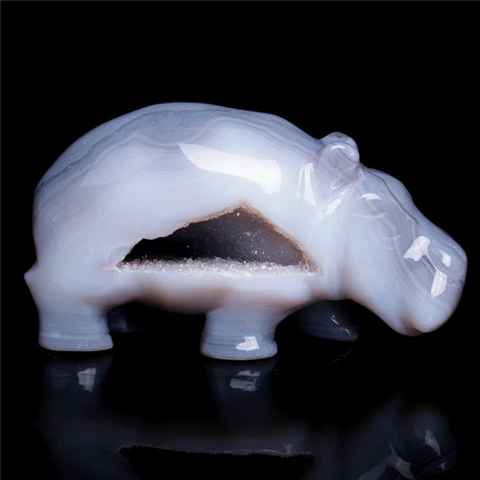 crystal hippo