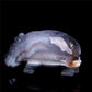 4" Druzy Agate Crystal Hippo Figurine Quartz Animal Carvings
