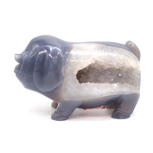 5" Hand Carved Druzy Agate Pig Statue Crystal Carving Healing