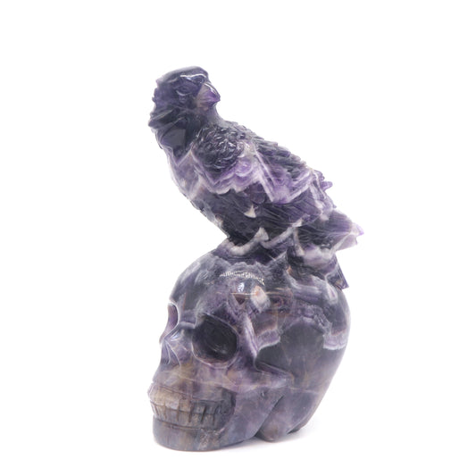 6" Natural Dream Amethyst Skull Bird Figurine Realistic Crystal Carved Healing