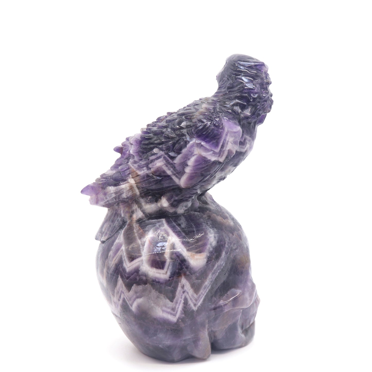 6" Natural Dream Amethyst Skull Bird Figurine Realistic Crystal Carved Healing