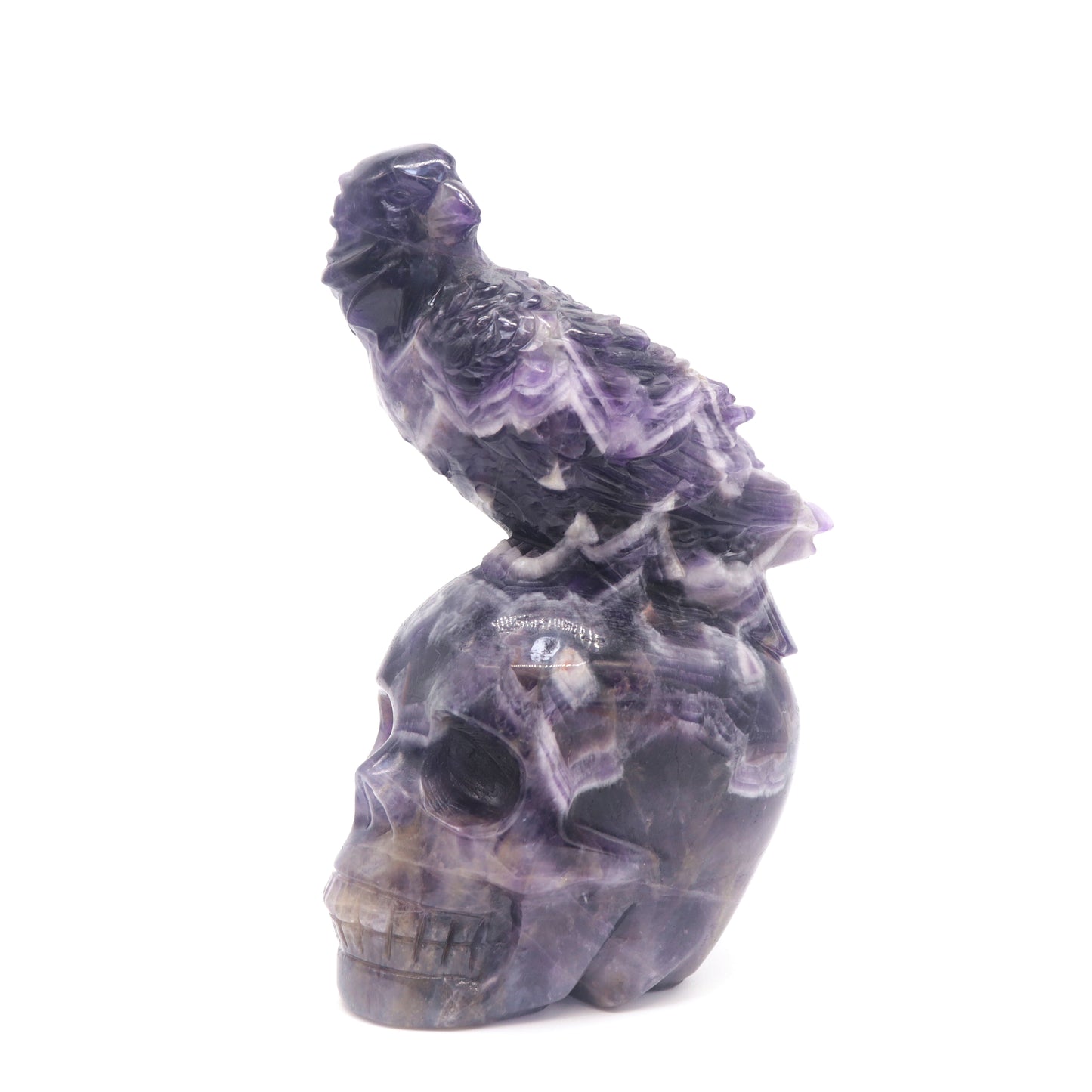 6" Natural Dream Amethyst Skull Bird Figurine Realistic Crystal Carved Healing