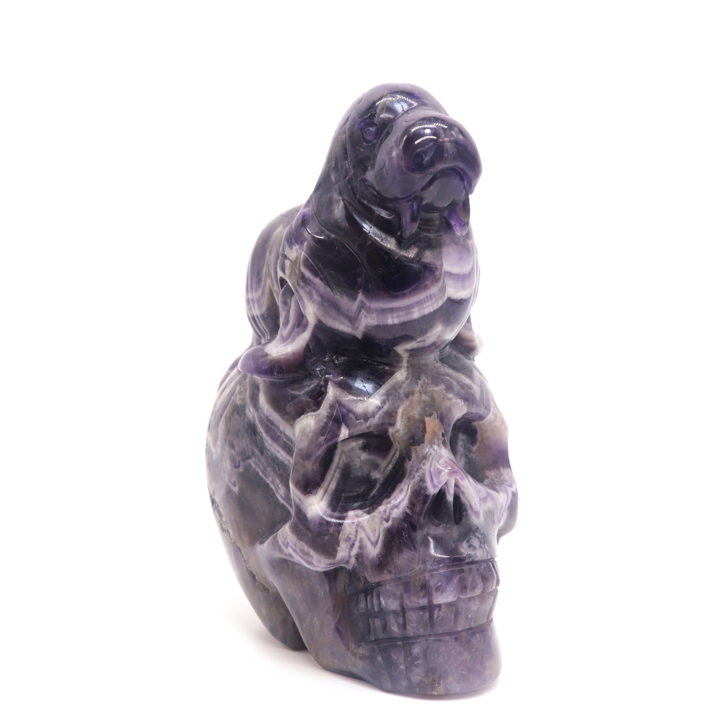 5.8" Natural Dream Amethyst Skull Walrus Figurine Crystal Carved Healing