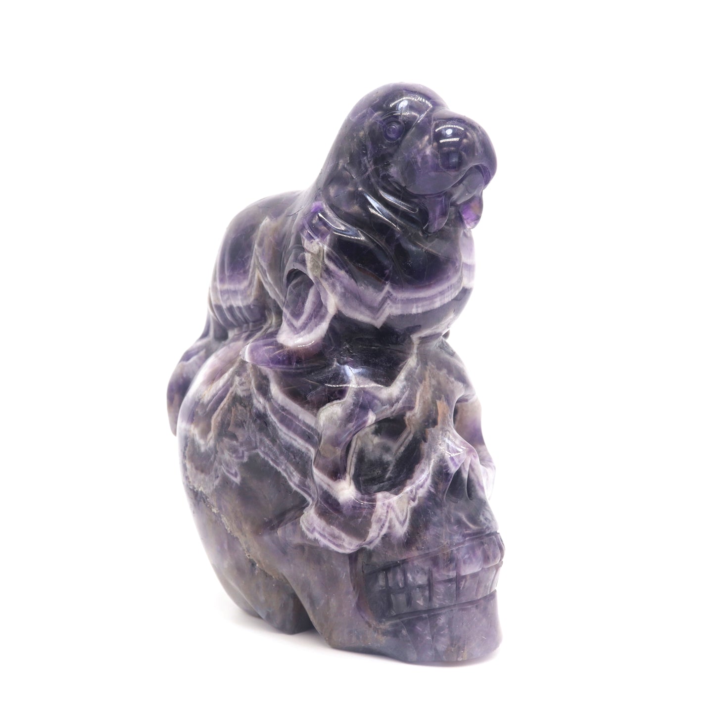 5.8" Natural Dream Amethyst Skull Walrus Figurine Crystal Carved Healing