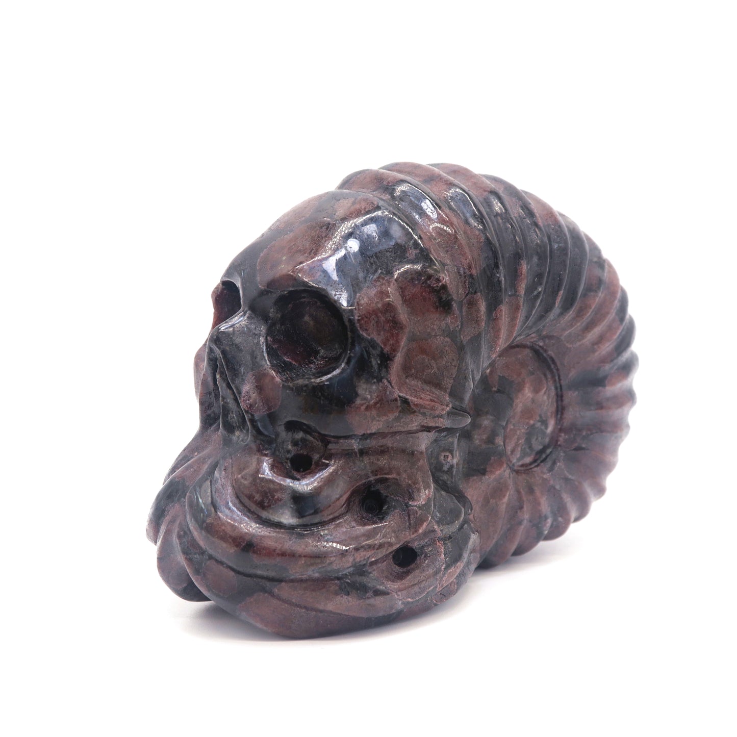 3.4lb Garnet Crystal Skull Octopus Fossil Figurine Healing Reiki