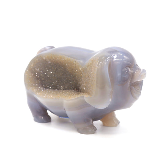 druzy agate pig