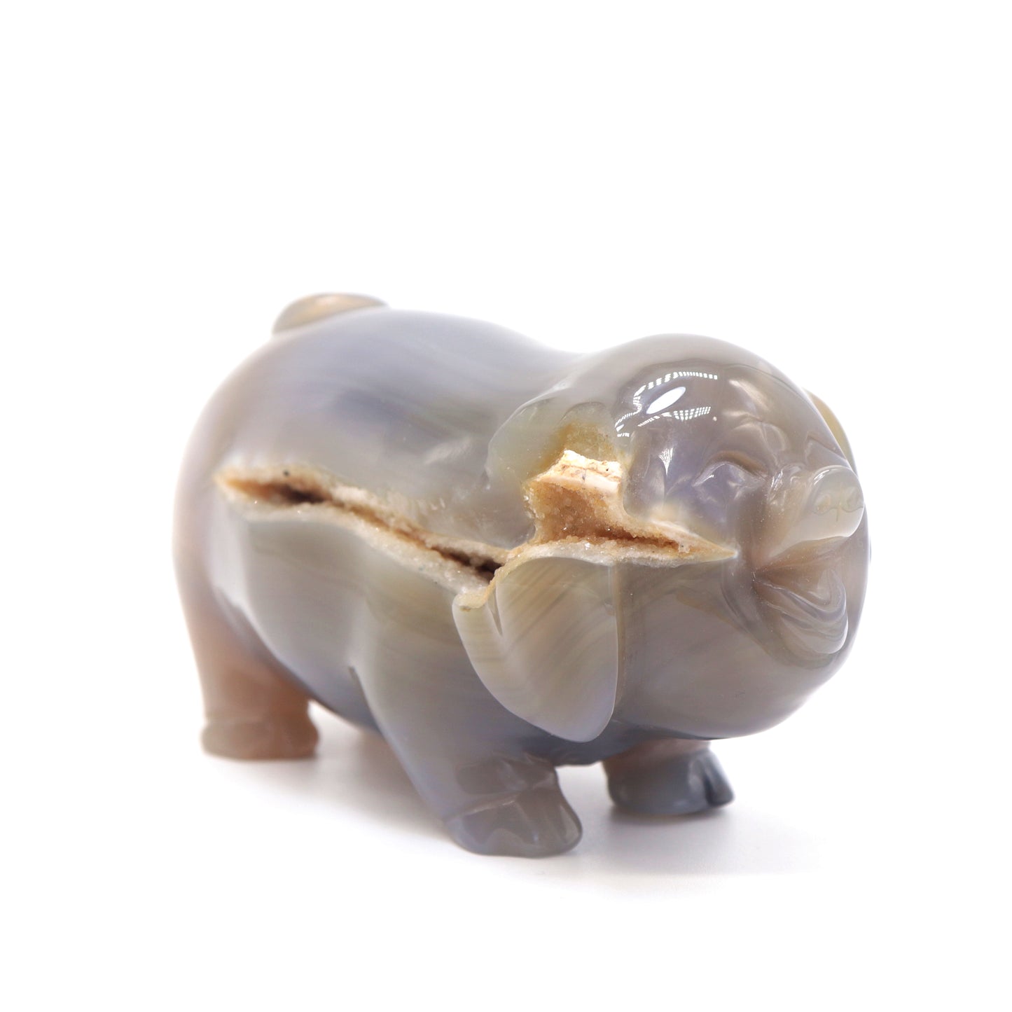 5" Hand Carved Druzy Agate Pig Statue Crystal Animal Carving Quartz Healing