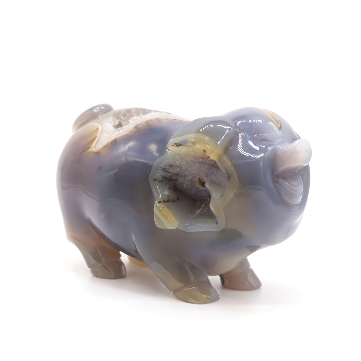 5" Hand Carved Druzy Agate Crystal Pig Figurine Quartz Healing
