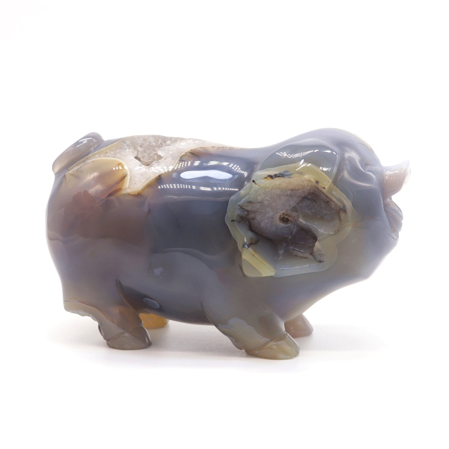 5" Hand Carved Druzy Agate Crystal Pig Figurine Quartz Healing