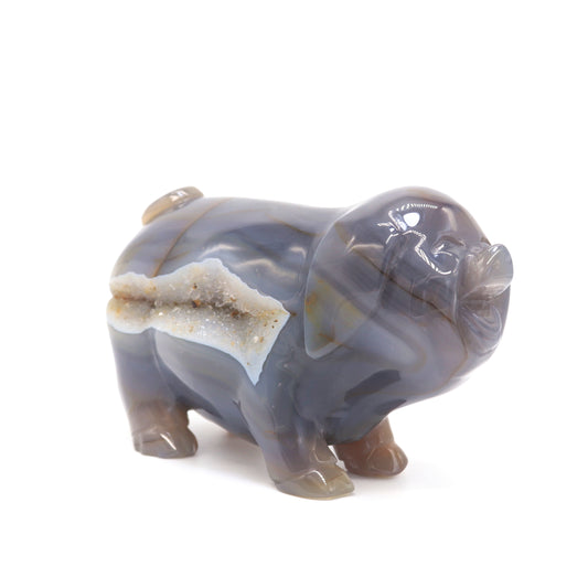 crystal pig