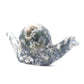 6.5" Hand Carved Moss Agate Snail Crystal Animal Statues Quartz Healing Decor Reiki