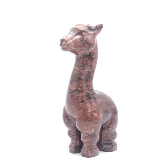 Jasper Giraffe 