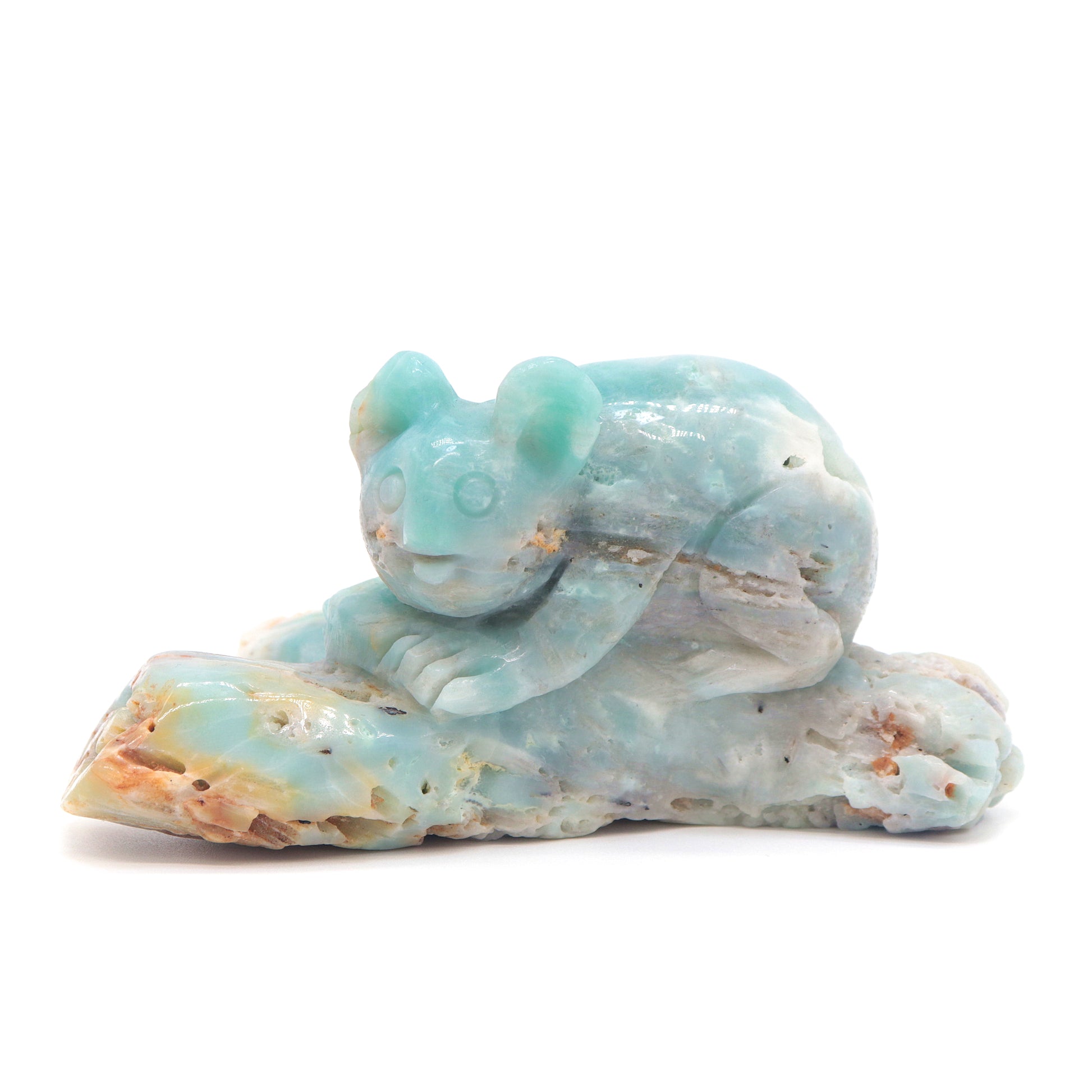 Amazonite koala