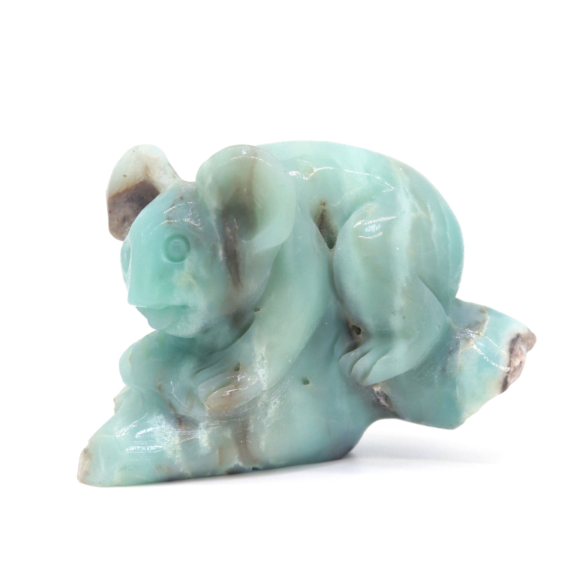 Amazonite koala