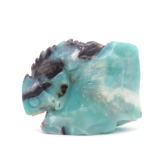 Amazonite Lizard