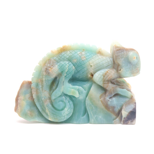 Amazonite lizard