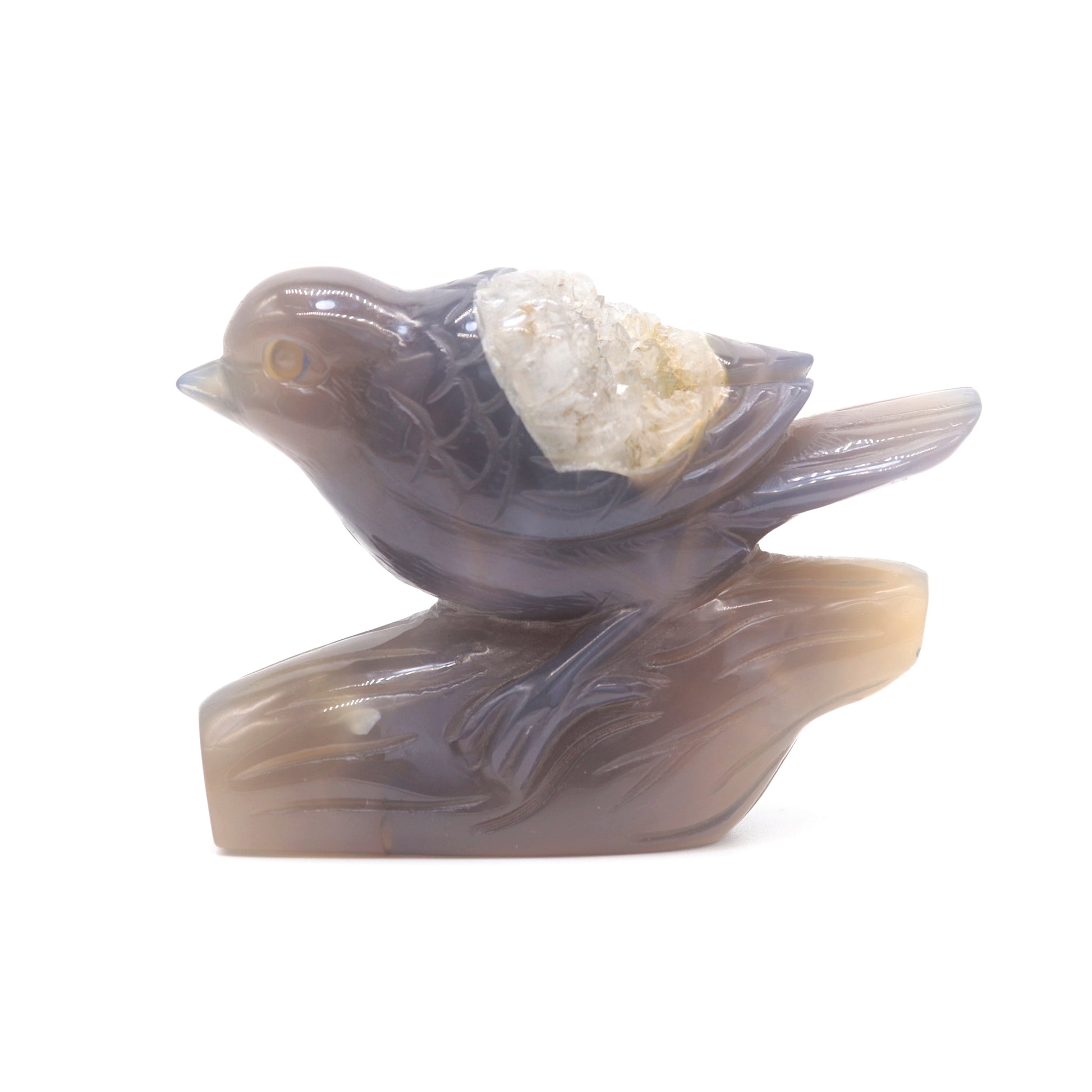 druzy agate bird