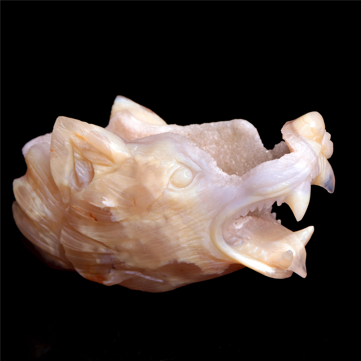 druzy agate wolf head