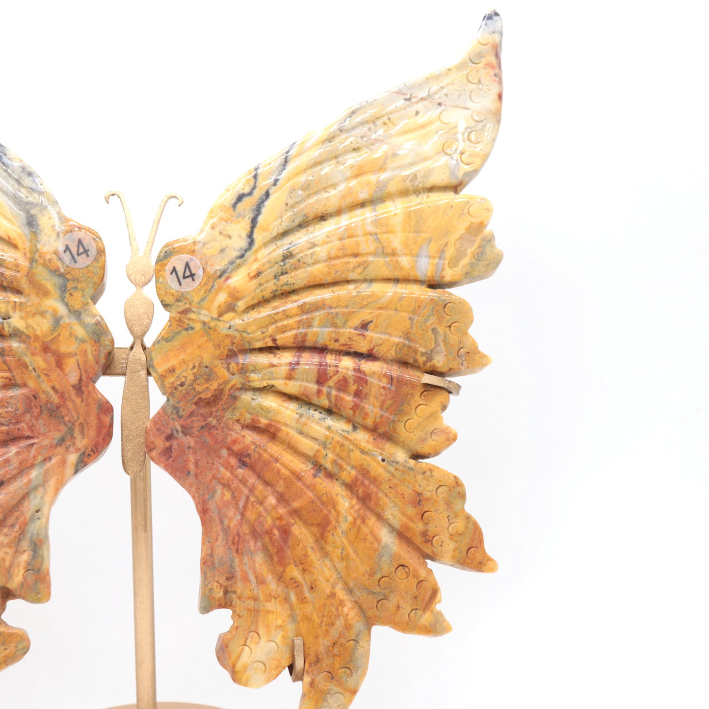 Natural Crazy Lace Agate Crystal Butterfly wings Quartz Healing + stand 1pc