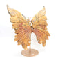 Natural Crazy Lace Agate Crystal Butterfly wings Quartz Healing + stand 1pc