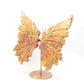 Natural Crazy Lace Agate Crystal Butterfly wings Quartz Healing + stand 1pc