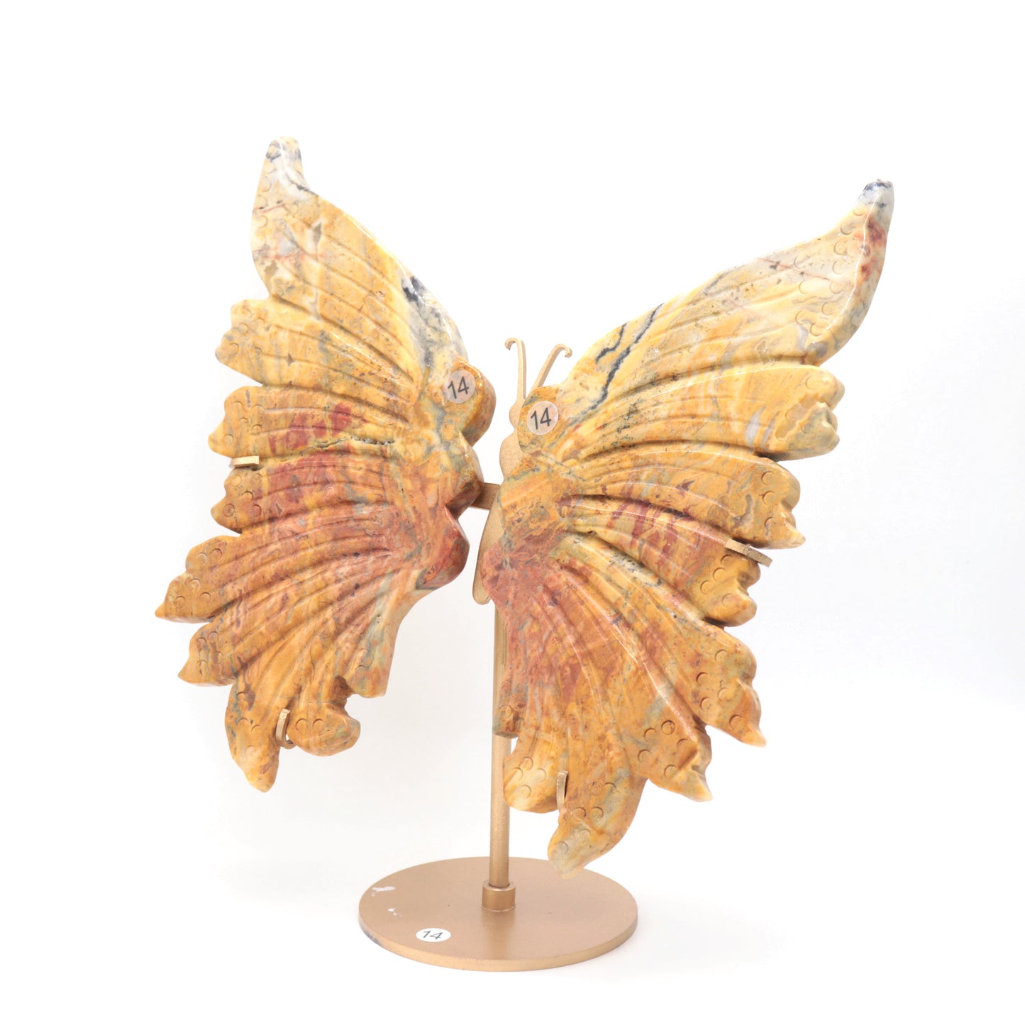 Natural Crazy Lace Agate Crystal Butterfly wings Quartz Healing + stand 1pc